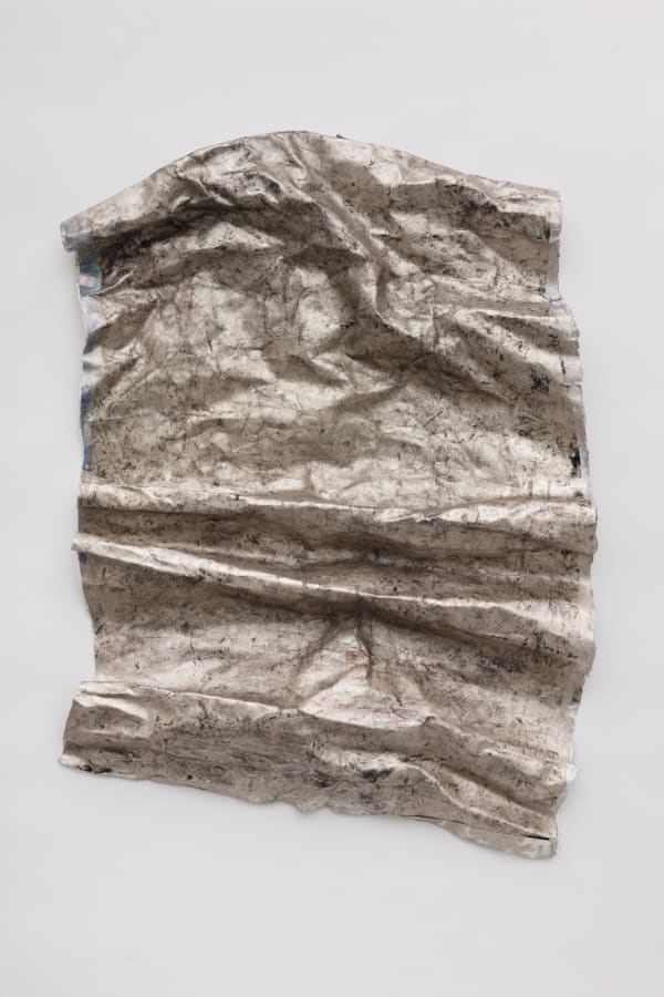 Laura Gannon, Passages, 2017