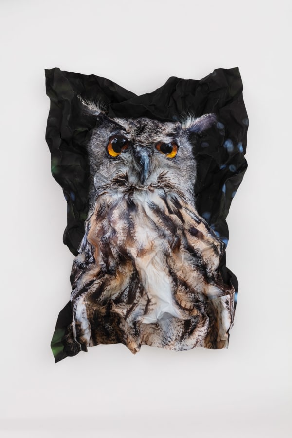 Marcus Coates, British Birds of Prey: Eagle Owl, 2022