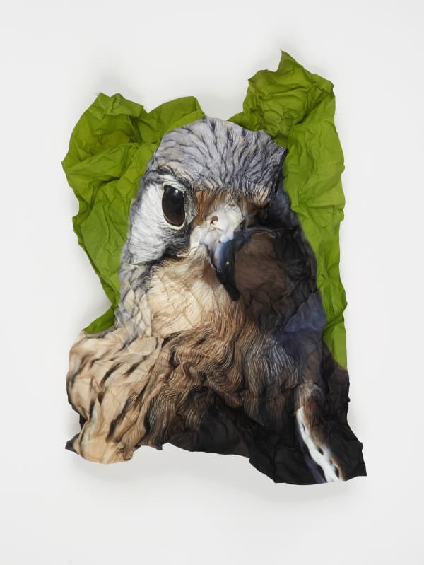 Marcus Coates, Ritual for Reconciliation: Kestrel (Falco Tinnunculus) England, 2013