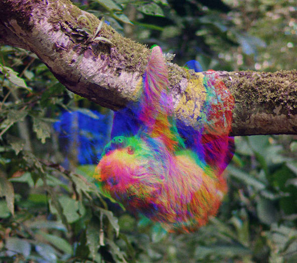 Ben Rivers, Cherry #1, 2019