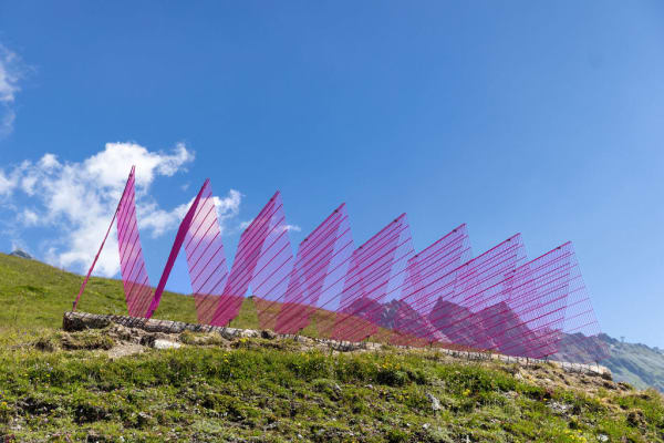 Rana Begum, No. 1387 Fence, 2024