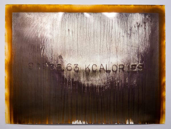 Michael Joo, Acquired, 2018-2019