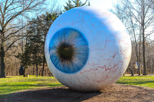 Tony Tasset, Eye