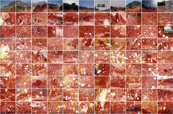 Curtis Mann, red field, 2010