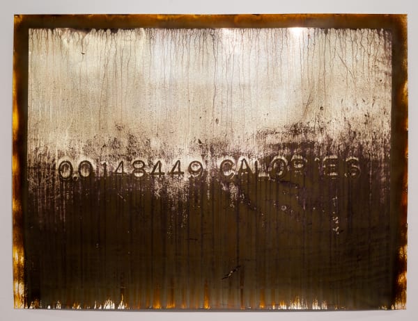 Michael Joo, Relinquished, 2018-2019