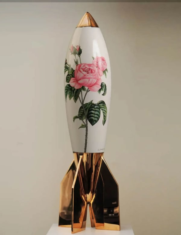 Sara Rahanjam, Spring, 2013