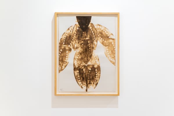 Willie Cole Hot Body #1, 2013 Scorch on paper 24 x 18 in 61 x 45.7 cm