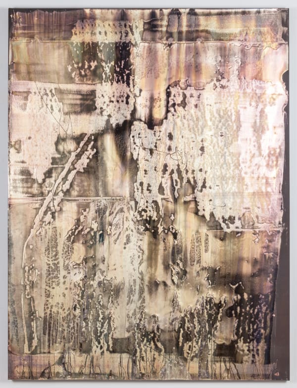 Michael Joo Various Low Mass Stars (NY Farm Colony 2), 2018 Silver nitrate and epoxy ink on canvas 62 x 47 x 2 in 157.5 x 119.4 x 5.1 cm Unframed