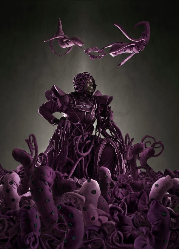 Mary Sibande, Admiration of the Purple Figure, 2013