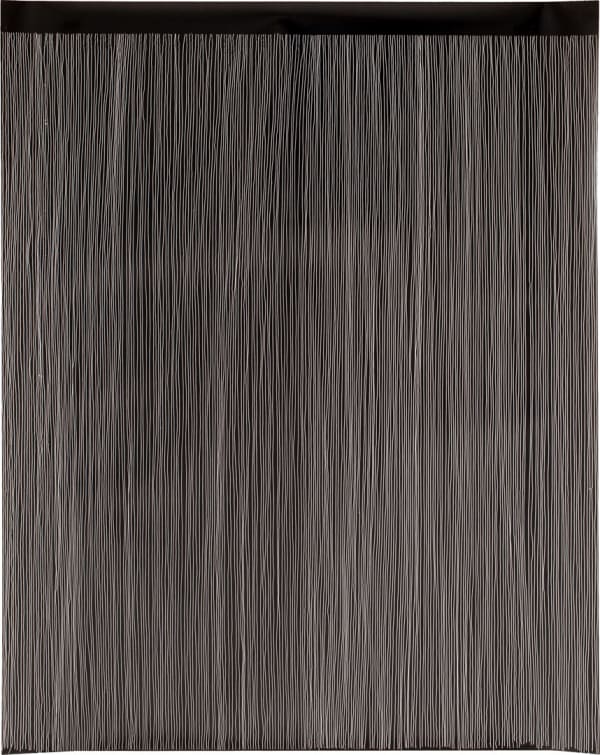 Curtis Mann, Removal attempt, vertical scratch, partial, 2013