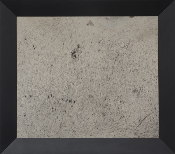 Tony Tasset Domestic Abstraction, 1986 Cowhide and wood 39 x 44 x 2 in 99.1 x 111.8 x 5.1 cm