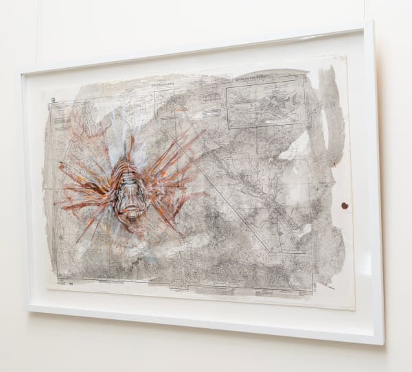 Julie Hamilton, Lion Fish, 2025