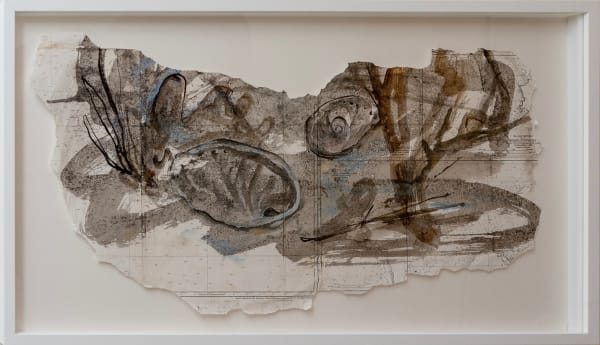 Julie Hamilton, Sea Shells, 2025