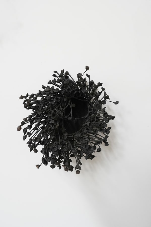 Emma Davies, Anemone, 2024