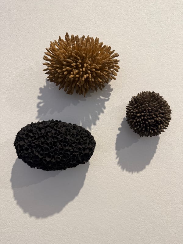 Emma Davies, Spines & Silence, 2025