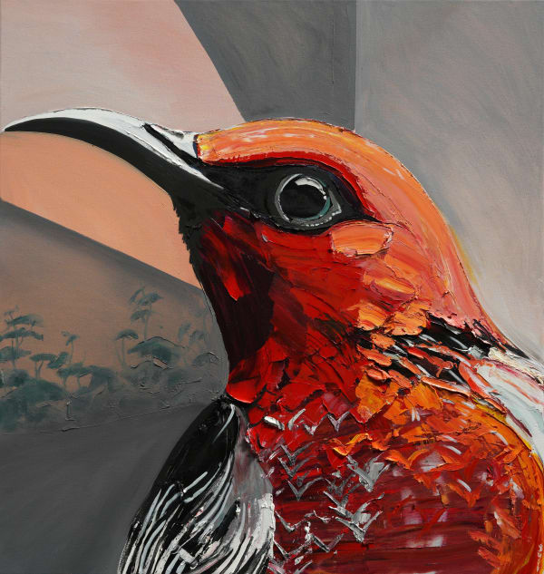 Baden Croft, Scarlet Honeyeater, 2024