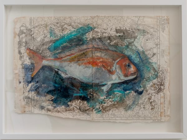 Julie Hamilton, Snapper in Blue, 2025