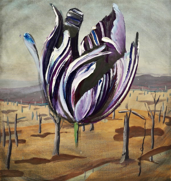 Baden Croft, Colonial Bloom III, 2024