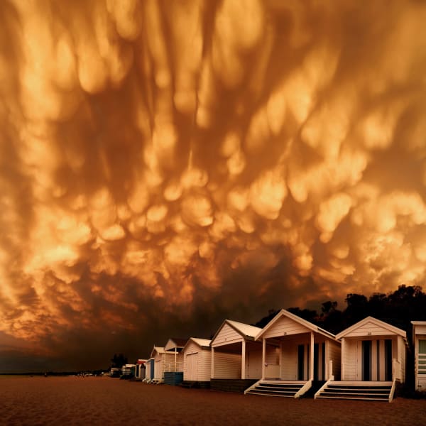 Cam Myers, Apocalypse, Mount Martha, 2025