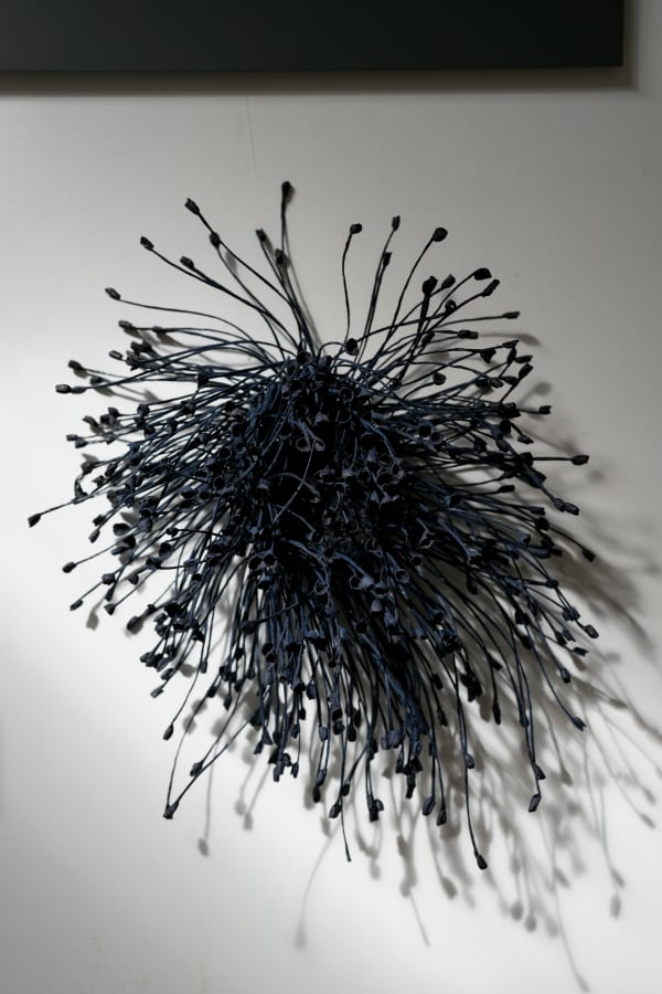 Emma Davies, Bloom, 2024