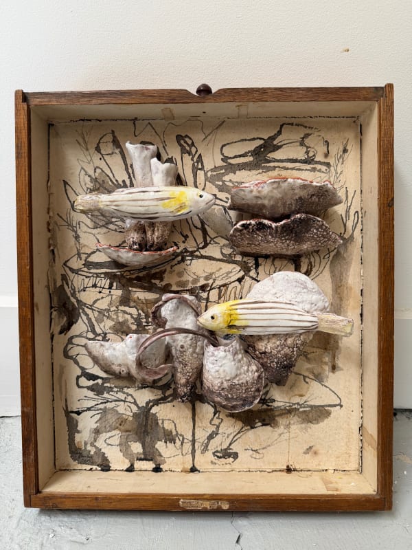 Julie Hamilton, Specimen, 2025