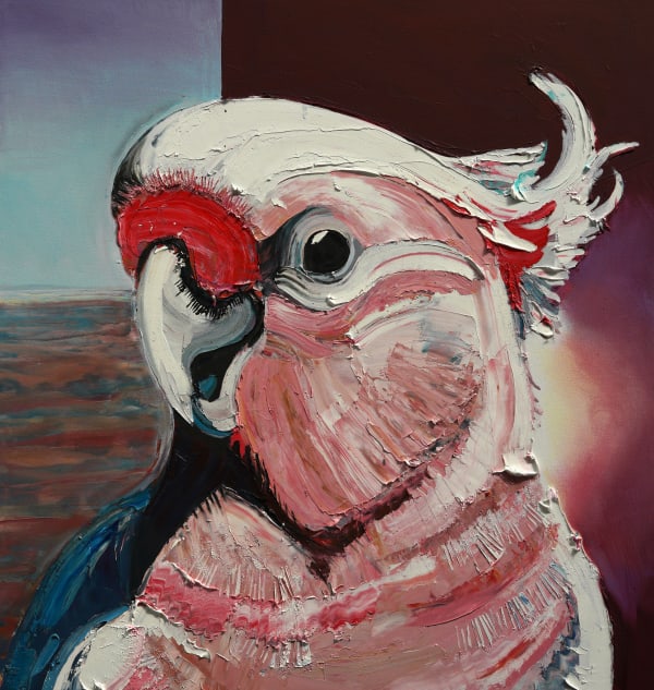 Baden Croft, Pink Cockatoo, 2024