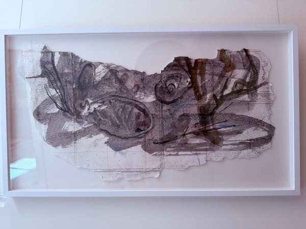 Julie Hamilton, Sea Shells, 2025