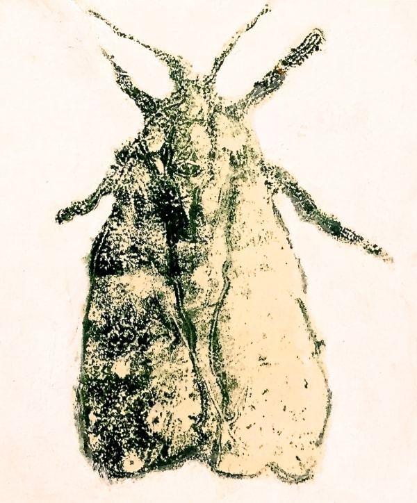 David Konigsberg, Moth #5, 2020