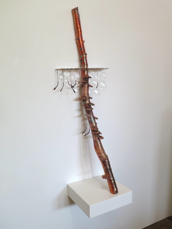 Richard Klein, Witness Tree II, 2024