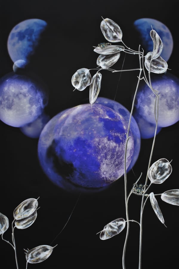 Francine Fox, Moon Landings, 2019