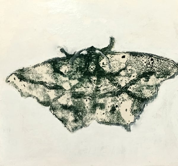 David Konigsberg Moth #8, 2020 8.5 x 9 inches