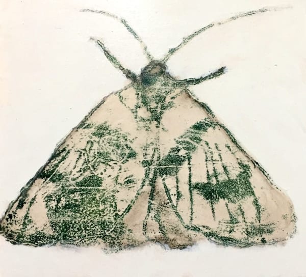 David Konigsberg Moth #6, 2020 8.25 x 9 inches