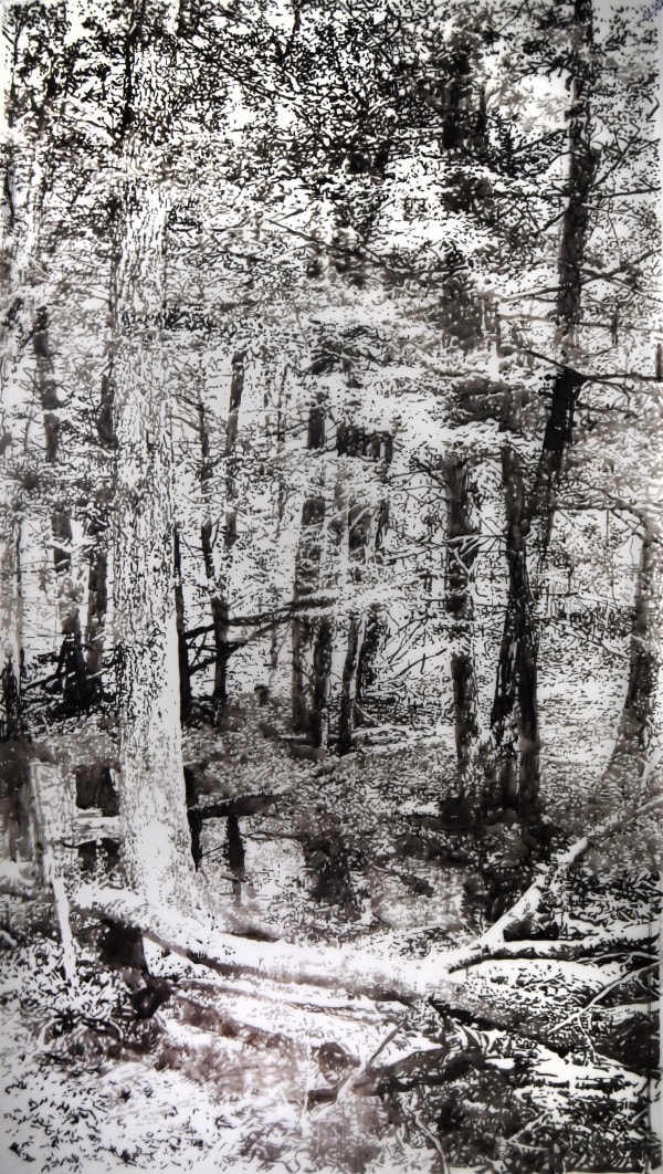 Andrea Kantrowitz, Fallen Logs, 2024
