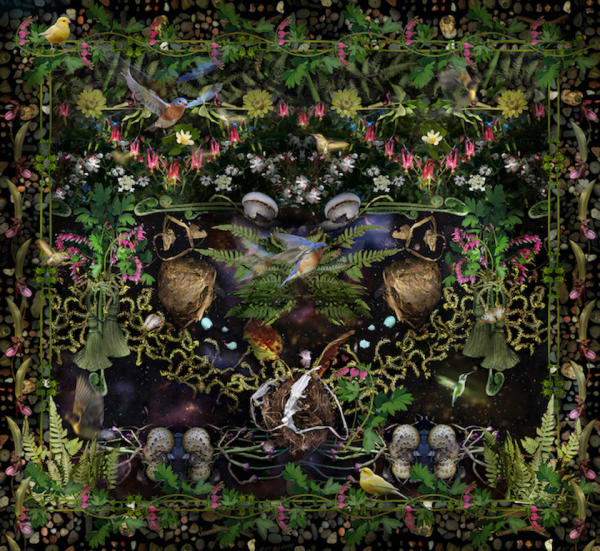 Additional Inventory Lisa A. Frank, In Just Spring, 2017 36.5 x 40 inches