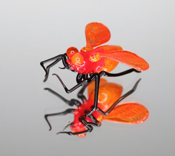 Elijah Schwartz Red Yellow Stip Fly, 2020 1 x 2 x 1 inches
