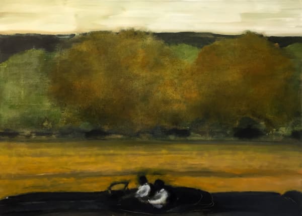 David Konigsberg Wide Field, 2019 36 x 50 inches