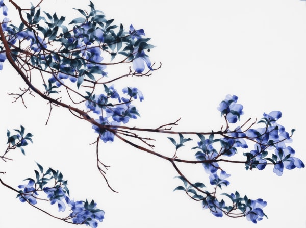 Jackie Battenfield, Outreach Cs1, 2017