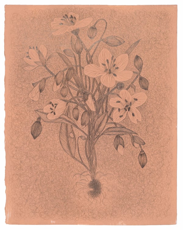 Margot Glass, Spring Beauty with Roots (peach colored ground), 2025