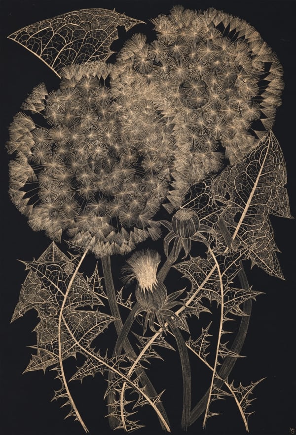 Margot Glass, Large Dandelion 7, 2023