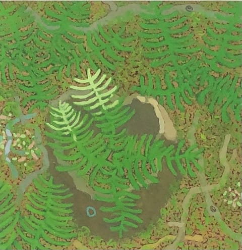 Gregory Hennen, Stump and Ferns, May, Wyatt Mt., 2018