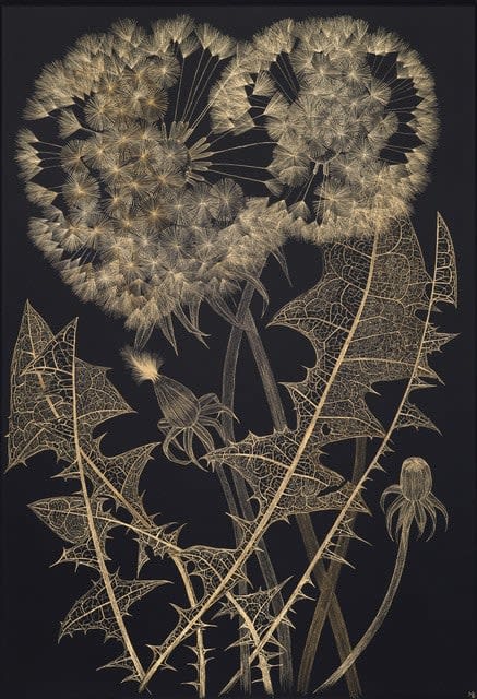 Margot Glass, Large Dandelion 8, 2024