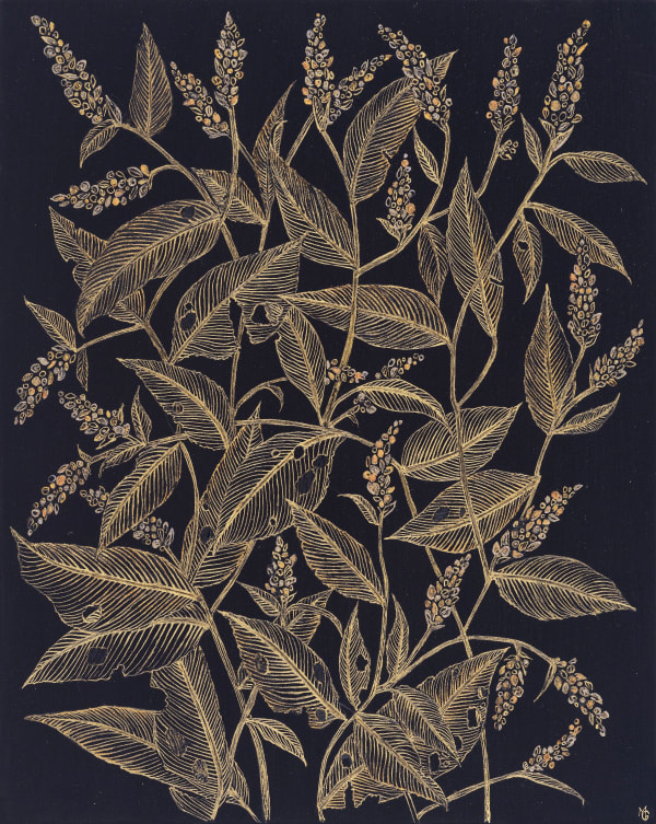 Margot Glass, Lady's Thumb #2, 2024