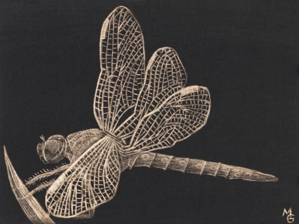 Margot Glass Dragonfly, 2020 3 x 4 inches (unframed) 7.5 x 8.5 (framed)