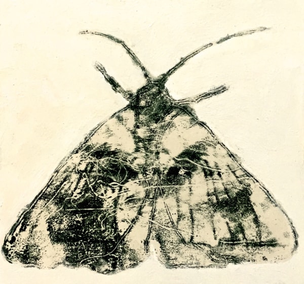 David Konigsberg, Moth #1, 2020