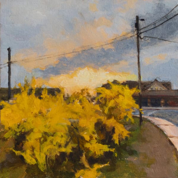 Sally Maca Forsythia at Sunset, 2019 3 x 3 inches