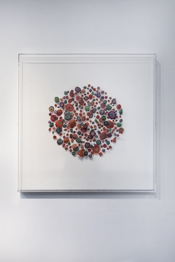 Jill Parisi Polychrome Synusia, 2019 34 x 34 x 4 (framed in acrylic shadowbox)