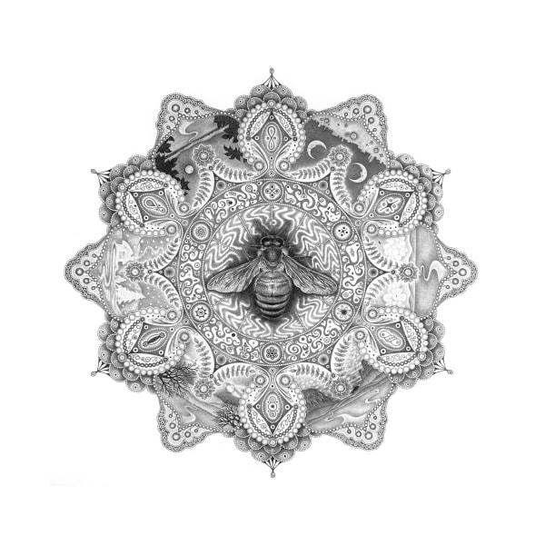 Michiyo Ihara Snowflakes #99 "Pollinator", 2013 22.25 x 22.25 inches (unframed) 25.25 x 25.25 inches (framed)