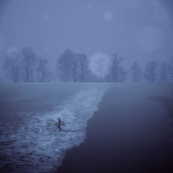 Mark Bartkiw, Tree Surfer