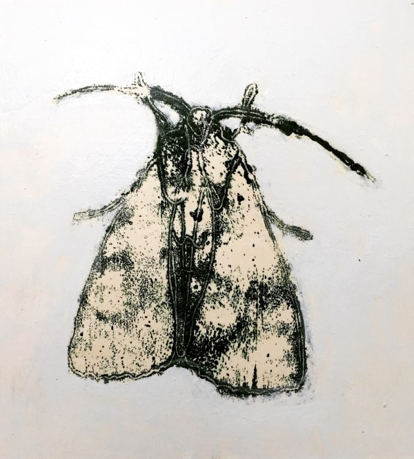 David Konigsberg Moth #9, 2020 9 x 8.5 inches