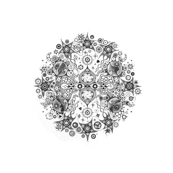 Michiyo Ihara, Snowflakes #114 "Response", 2014